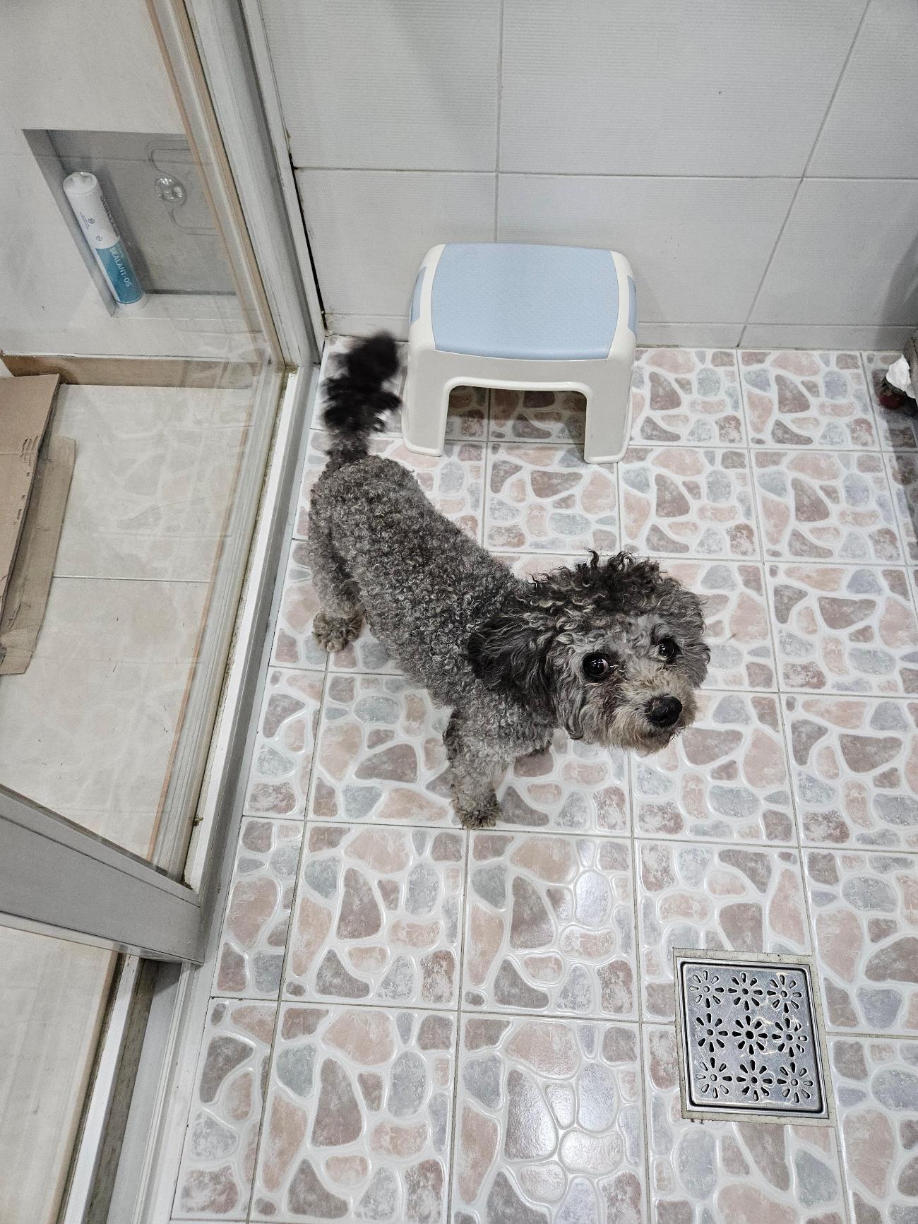 제니스동물병원_427346202501107